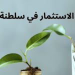 فرص الاستثمار في سلطنة عمان